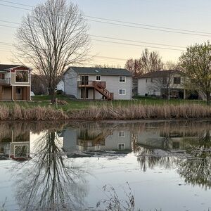 Meet your Posher, Fabiola